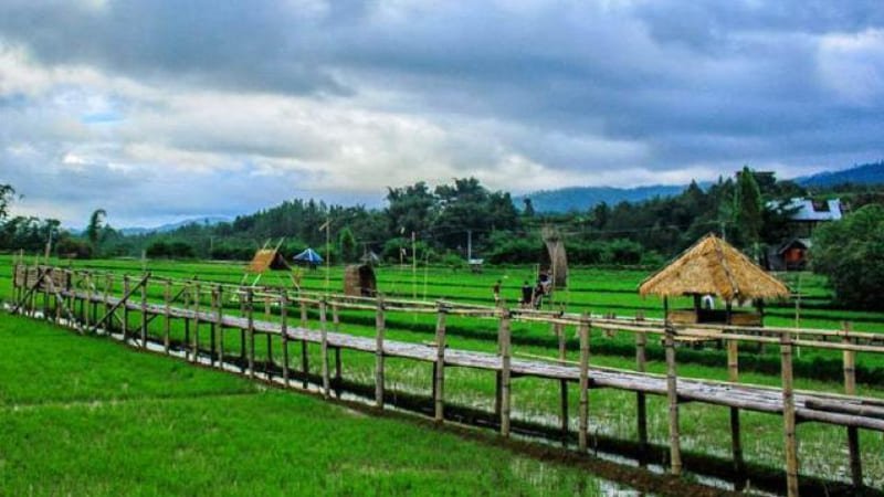Gunung Mambulilling Mamasa