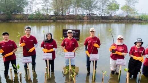Suzuki Tanam Mangrove
