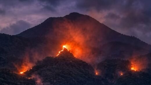 Tahura Raden Soerjo Terbakar