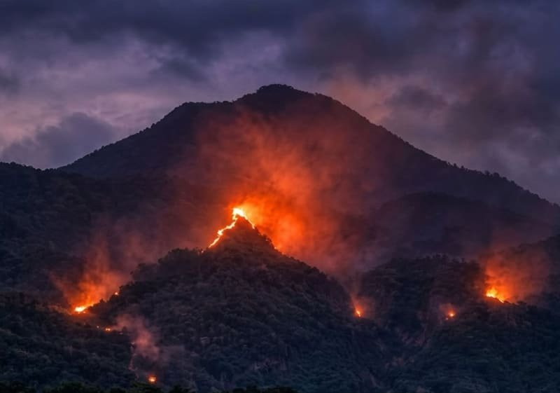Tahura Raden Soerjo Terbakar