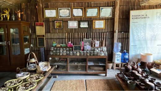 Wellness Tourism Desa Sidorejo